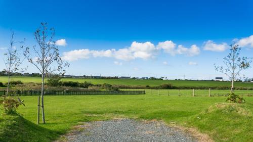 a grassy field with two trees and a fence at Cleifiog Fawr in Valley