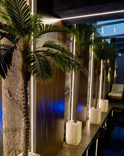 a row of palm trees in white pots on a counter at Motel Villa Princi in Kosovo Polje