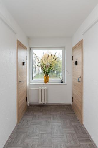 a hallway with a window and a vase with a plant at Pramonės Apartment #11 by PoloApartments in Kaunas