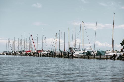 a group of boats docked at a dock in the water at Kolleviks Camping och Stugby in Karlshamn