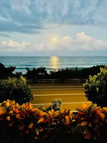 a view of the ocean from a park with flowers at Taitung Blue Sea Villa in Chenggong