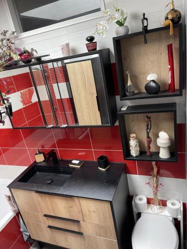 une salle de bain avec un lavabo et des toilettes dans une chambre dans l'établissement Charmante maison pour vos vacances, à La Rochelle