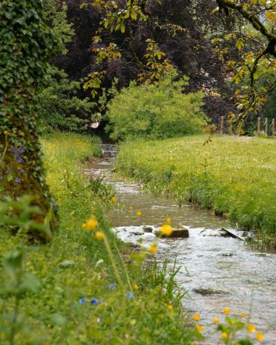 a stream of water with flowers in a field at Abbaye de la Bussière in La Bussière-sur-Ouche