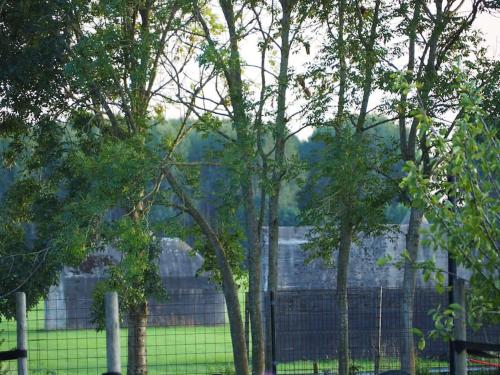 a fence with trees in front of a building at Ruime boerderij met haard, pooltafel en veranda in Goilberdingen
