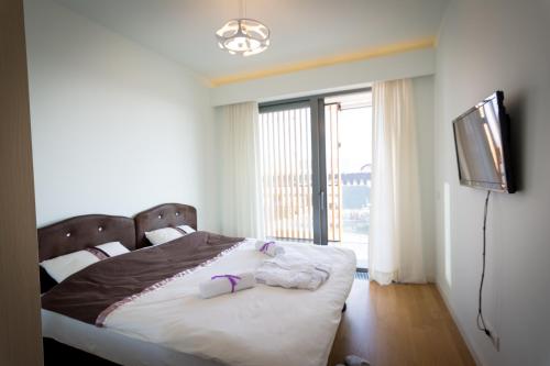 a bedroom with a bed and a tv and a window at Apartment Mercedes in Belgrade