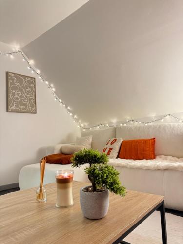 Photo de la galerie de l'établissement La Douceur - hypercentre piéton de Troyes - Cozy, à Troyes