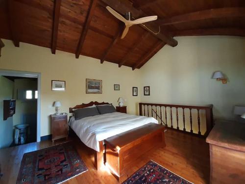a bedroom with a bed and a ceiling fan at Azienda Agricola La Ghibellina in Gavi