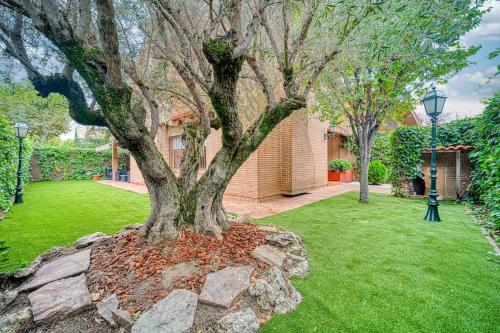 a tree sitting on top of a rock in a yard at P CasaCafe Madrid Calle Carlos Dubois 3 in Madrid
