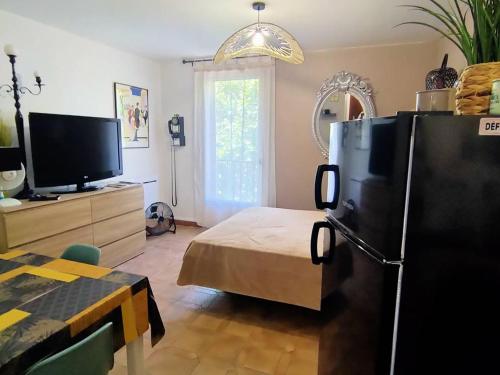 - un salon avec un réfrigérateur noir et une télévision dans l'établissement Studio cosy avec balcon et animaux acceptés, Amélie-les-Bains - FR-1-703-48, à Amélie-les-Bains-Palalda