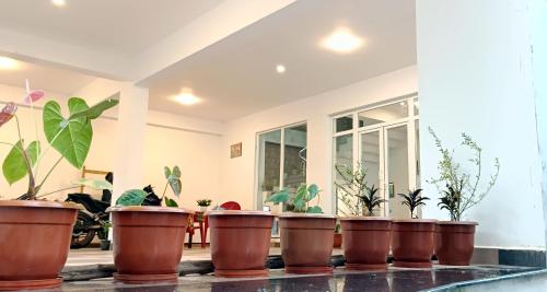a group of potted plants in a room at Hornbill Castle in Vālpārai
