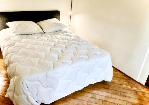 Appartement lumineux Classé au cœur de Strasbourg