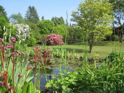 ein Teich in einem Garten mit Blumen und Bäumen in der Unterkunft De Luxe - Ferienwohnung im Landhaus am See - Die Nr 1 mit 5 DTV zertifizierten Sternen in Malente