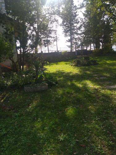 a yard with green grass and trees and the sun at La Casa di Cesarina in Celle sul Rigo