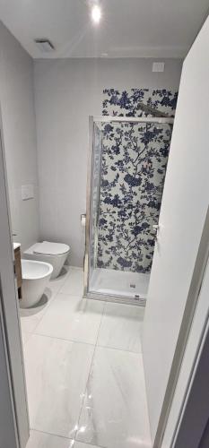 a bathroom with a shower and a toilet in it at La casa dell'artista in Ardea