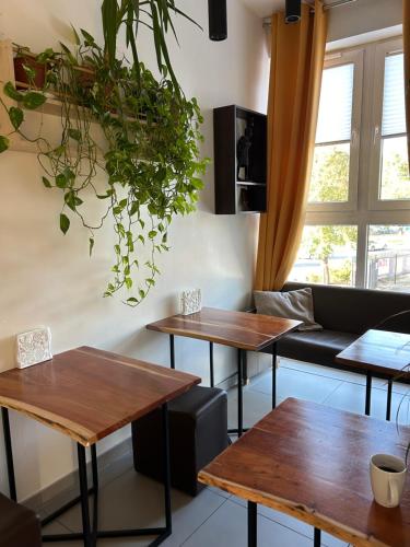 Televízia a/alebo spoločenská miestnosť v ubytovaní Arcus Premium Hostel