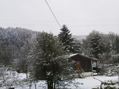 une petite cabine dans la neige à côté d'un arbre dans l'établissement Le Bois Dormant 1, à Rimbach-près-Masevaux