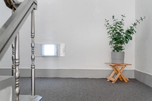 a potted plant sitting on a small table in a room at Mutal Stay in Seoul