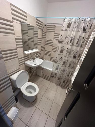 um pequeno banheiro com um vaso sanitário e uma pia em ECO COVER APARTMENTs em Oradea International Airport