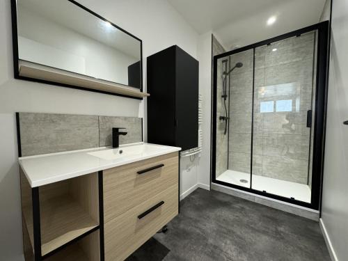 une salle de bain avec un lavabo et une douche dans l'établissement LOasis - Gazonfier - 7 pers - Rêve au Mans, au Mans