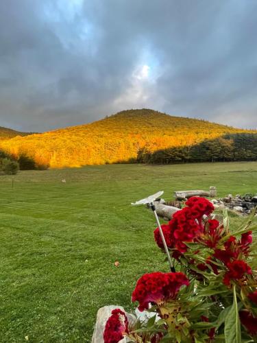 Φωτογραφία από το άλμπουμ του Hidden Valley Farm σε Wells