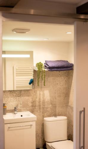 une salle de bain avec toilettes et lavabo dans l'établissement Larroque Haute Gites, à Cassagnes