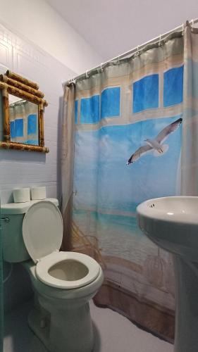 Koupelna v ubytování Rooster Run Guest House offers Vieques travelers newly furnished quaint affordable airconditioned rooms and only steps from the Ferry and nearby beaches