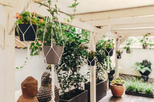 a greenhouse filled with potted plants in pots at Boutique Hotel Düsseldorf Berial in Düsseldorf