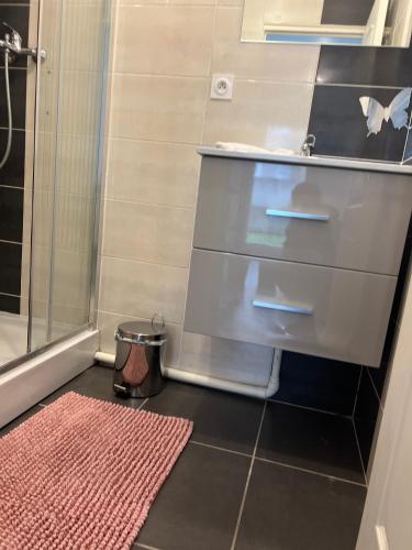 une salle de bain avec douche et un tapis rouge dans l'établissement Jolie Studio, à Gare des Brotteaux