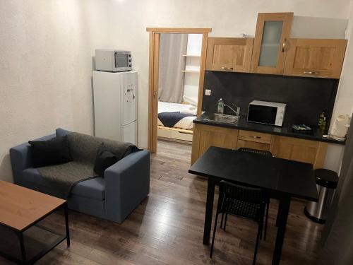 un salon avec un canapé et une table et une cuisine dans l'établissement T2 saint priést, à Saint-Priest
