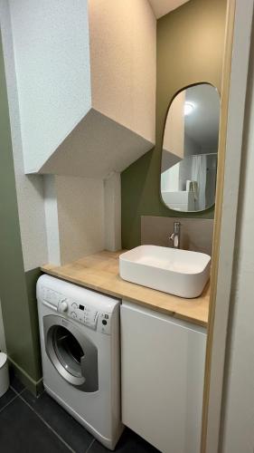 une salle de bain avec une machine à laver et un lavabo dans l'établissement Les Vignes - T2 cosy, calme, excentré, à Dijon