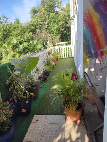 un jardín con plantas en macetas en un balcón en Le passiflore, en Le Gosier