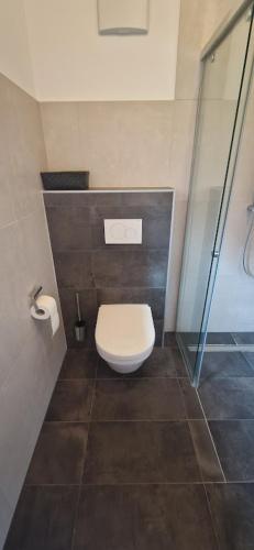 a bathroom with a toilet and a glass shower at Haus Alpengruss in Heiterwang