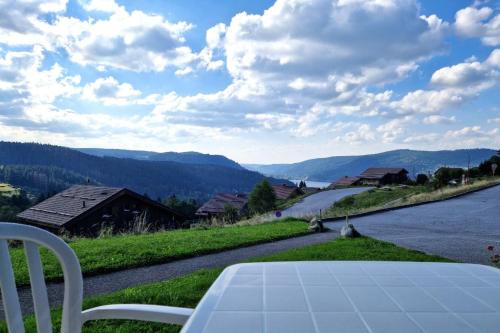 Appartement avec vue sur le lac de Gérardmer, proche des pistes de ski