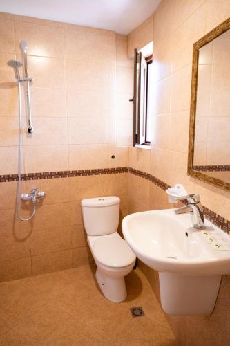 a bathroom with a toilet and a sink at Dan Kolov in Svilengrad