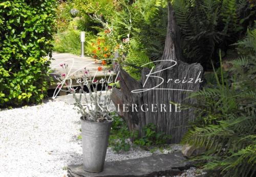 Zahrada ubytování Petit Cocon Privé et son Jardin