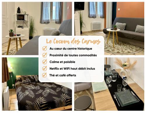 Le Cocon des Carmes - Hypercentre
