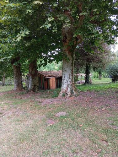 a building under two trees in a field at La maison du pêcheur in Saint-Justin