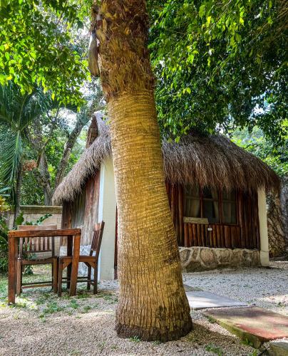 a hut with a table and a chair next to a tree at Villa Santuario Lake front Oasis in Bacalar