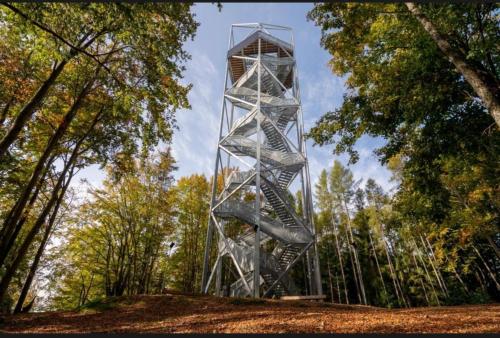 a metal monument in the middle of a forest at Chata Hugo in Jarabá