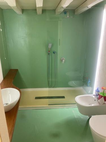 a green bathroom with a shower and a sink at Due Papi in Savona