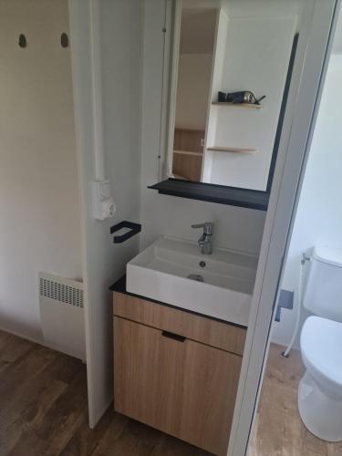 une salle de bain avec un lavabo et des toilettes dans l'établissement Mobil-Home La Carabasse, à Vias