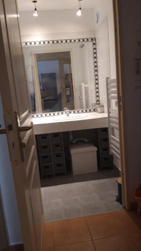 une salle de bain avec un lavabo et un grand miroir dans l'établissement 