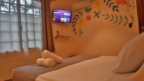 Una televisión o centro de entretenimiento en Hotel Sur Bacalar