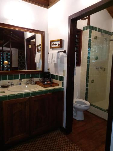 a bathroom with a sink and a toilet and a mirror at The Lodge & Spa at Pico Bonito in El Pino