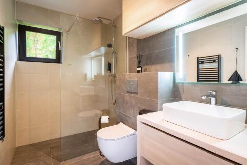a bathroom with a sink and a toilet at Eliška apartment - modern mountain loft apartment in Ski resort Malino Brdo in Ružomberok