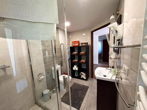 a bathroom with a shower and a sink at Nasz Zakątek in Mysłakowice