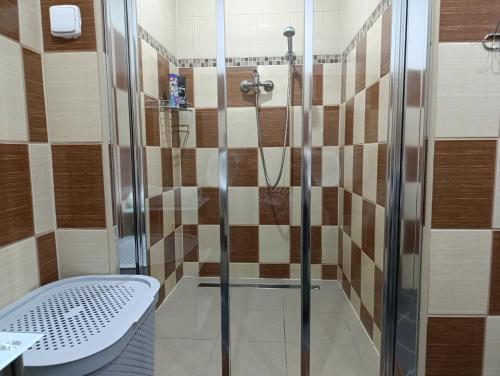 a shower with a glass door in a bathroom at U Bocmana s výhledem na zámek a Labe in Děčín