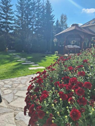 Zahrada ubytování Apartmani Nika Zlatibor