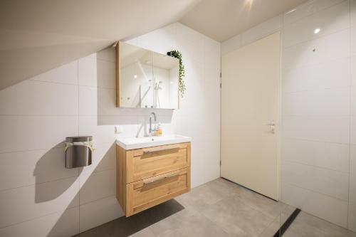 une salle de bain avec un lavabo et un miroir dans l'établissement Alphabet Apartments -2e Pijnackerstraat 13, à Rotterdam