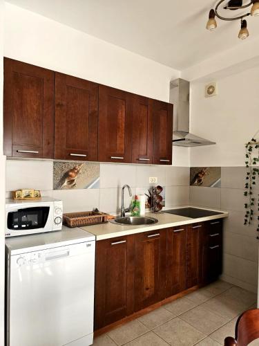 Kuchyň nebo kuchyňský kout v ubytování Apartmani Vesić